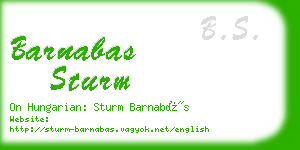 barnabas sturm business card